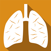 🏛️ Asbestos Awareness for Architects and Designers Online Course